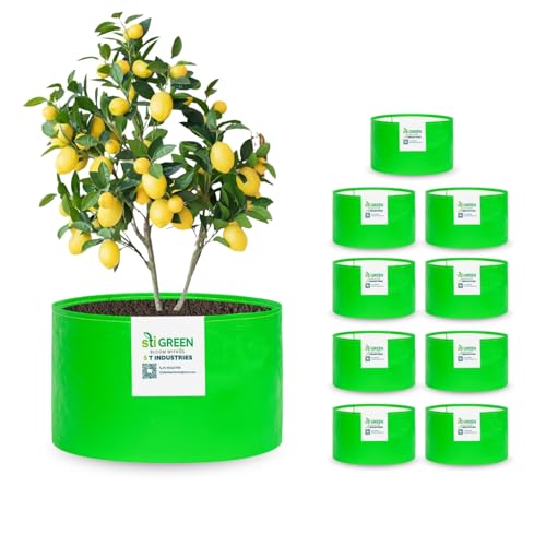 Image of HDPE Grow Bags for Plants 12x12 Inch (Pack of 10) | 260 GSM Heavy Duty UV-Protected Round Green Colour Plant Bags for Terrace and Vegetable Gardening | Strong & Reusable|