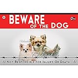 chihuahua pelo lungo milano The Breed of the Chihuahua pelo is printed on a 2 mm Dibond metal plano