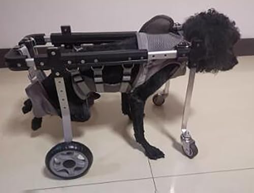 Silla de ruedas ajustable para perros con arnés de soporte abdominal y de cadera 2