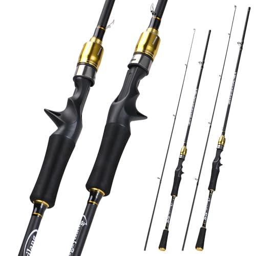 Image of Sougayilang Fishing Rod, Composite Glass & Carbon Fiber Blanks Spinning Rod and Casting Rod, 2Pc Fishing Pole with EVA Handle-Golden-2.1m-Casting