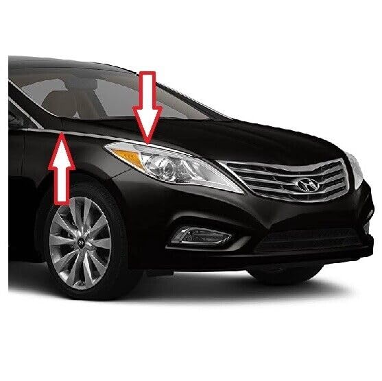 Amazon.com: BIG TIGER PARTS Genuine OEM 87772-3V100 Silver Right