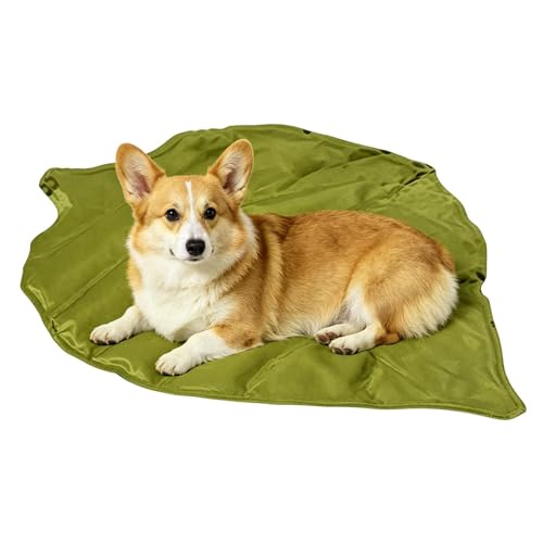 Tapis de couchage d'été pour animaux de compagnie Feng Shui sur canapé