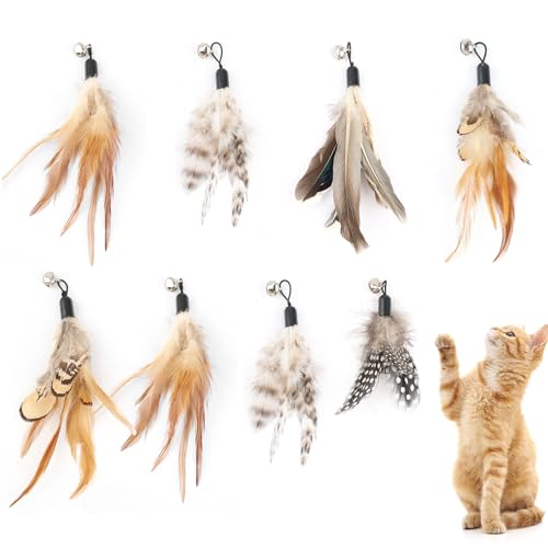 Neerow 8 Stück Katzenspielzeug Federn mit Glocken, Federspielzeug für Katzen aus Naturfedern, Feder Katzenangel Anhänger, Ersatzfedern Zubehör...