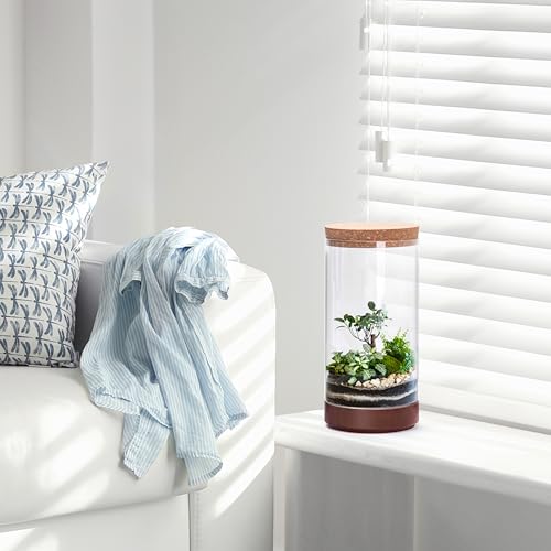 Clear Glass Houseplant Terrarium Planter, 6" W x 12" H, Cylindrical Terrarium with Wooden Base & Cork Lid | Versatile Tabletop Decoration for Home or Office or Hydroponics (Plant Not Included), 41-A-L - Image 7