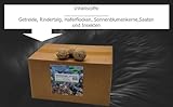 Anhaltiner Meisenknödel 100 Stück ohne Netz mit Insekten Vogelfutter Wildvogelfutter Meisenfutter eigene Produktion in Deutschland hergestellt