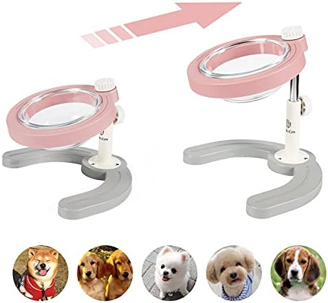 Djustable Lifting Bowl for Pets 10° Tiltable Debug Cat and Dog Pet Bowl Non-Slip (Green)