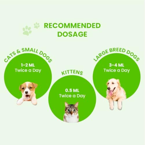 Fur Ball Story Pacho Prebiotic Gut Supplement for Dogs 100ml | Supports Digestive Health & Appetite | Promotes Healthy Gut Flora | Liquid Pet Supplement | Suitable for All Breeds