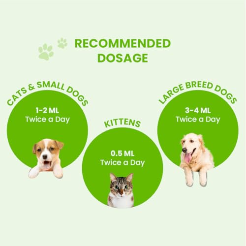 Fur Ball Story Pacho Pet Prebiotic Gut Wellness Supplement for Dogs 100ml | Improves Appetite, Digestion & Gut Flora | Prevents Worms, Diarrhea, Vomiting, Gas, Indigestion | Safe for All Ages