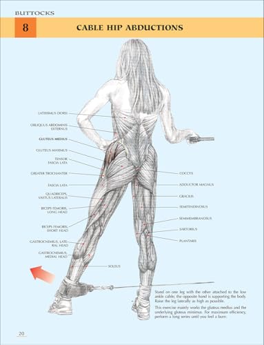 Women's Strength Training Anatomy