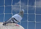 pigeon noir et blanc signification Ce filet de jardin en polyéthylène à 6 brins est noué pour une utilisation intensive et une longue durée de vie.