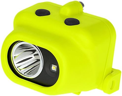 Nightstick XPP-5454GC Intrinsically 