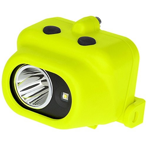 Amazon.com: Nightstick XPP-5454GC Intrinsically Safe Dual-Light