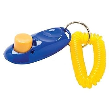 Dog Trust Pet Training Clicker with Wrist Strap, Behavioural Training Tool (Pack of 1) at ₹139 – Amazon