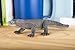 Safari Ltd. Komodo Dragon Figurine - Detailed 5.5