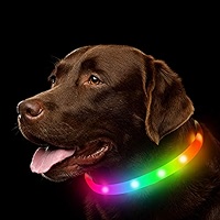 2 Pieces Glow Dog Collar Light 3 Modes Silicone LED Dog Cat Lights Clip-on For Night Dark