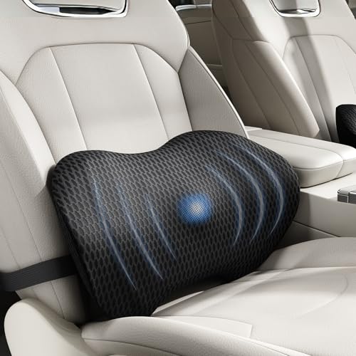 Lumbar Support Pillow for Car, Ergonomic Back Cushion with Strap, Memory Foam Lower Back Support Cushion for Driving, Lumbar Pillow for Pain Relief, for Office Chair, Long Sitting (Black 4D Mesh)