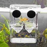 10 x 7 x 13 cm Aquarium Zuchtbox, Ablaichkasten Für Aquarium, Brutkasten Für Aquarium, Incubatrice Per Acquari Con Ventose Per Gamberetti, Pesciolini, Avannotti, Guppy e Pesci Pagliaccio