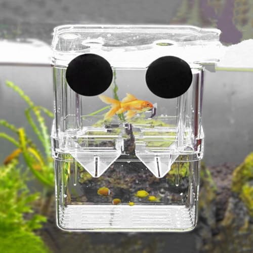 10 x 7 x 13 Cm Incubateur pour Poissons, Boîte d'Élevage d'Aquarium, Convient Aux Crevettes, Équipé De Ventouses, Idéal pour Les Crevettes, Les Petits Poissons, Les Alevins Et Les Guppys