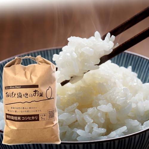 栃木県大田原産コシヒカリ 白米 10kg| 特別栽培米 メディア出演多数 栃木県農業大賞 知事賞 受賞農家 五月女農場 大田原市 こしひかり