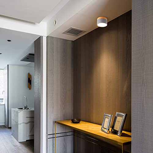 Temgin Apparecchio a Faretto a Soffitto a Plafone