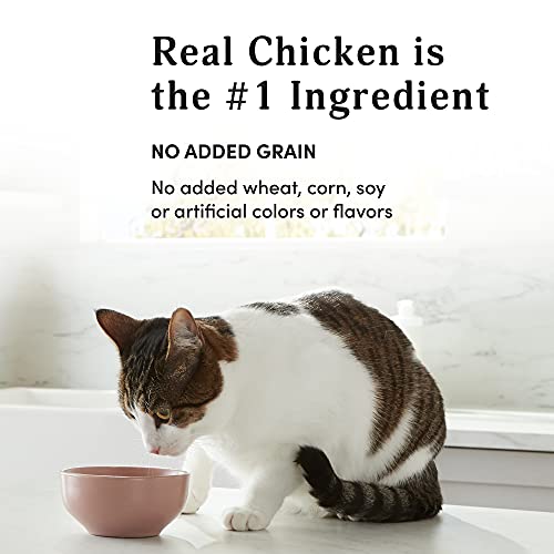 Amazon Brand - Kitzy Wet Cat Food, Chicken Cuts In Gravy, Grain Free (Kitten), 3 Oz (24 Pack) #TOP3