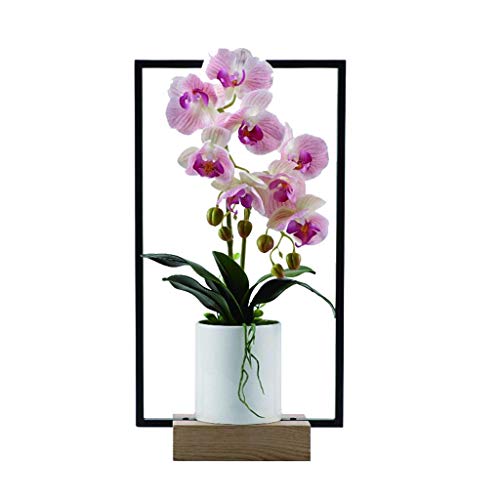 XDLEDMKIZ Flores Artificiales Phalaenopsis, bonsái de Flores Artificiales, bonsái de Flores de Seda, Adecuado para salón de té, Hotel, Sala de Estar, Maceta con Marco de