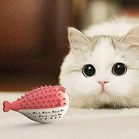 See full amazon price history chart for Woofy Pet Cat Kitten TPR Puffer Fish Toothbrush Catnip Molar Soft Bite Chew Play Toy, Cat Toy Fish Shape - Color May Vary Woofy Pet Cat Kitten TPR Puffer Fish Toothbrush Catnip Molar Soft Bite Chew Play Toy, Cat Toy Fish Shape - Color May Vary (B09ZPR1M1T) Amazon Price History, Amazon Price Tracker
