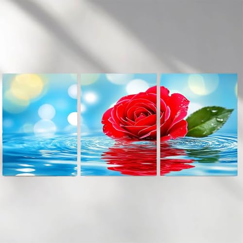 Diamond Painting Rouge 50x75cm lot de 3 kits complets avec strass carrés 5D pour broderie