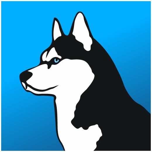 Phone Guardian VPN: Safe WiFi