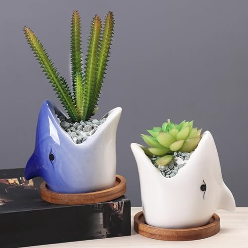 Pot pour plantes d'intérieur céramique TUSUOD finition premium - 6