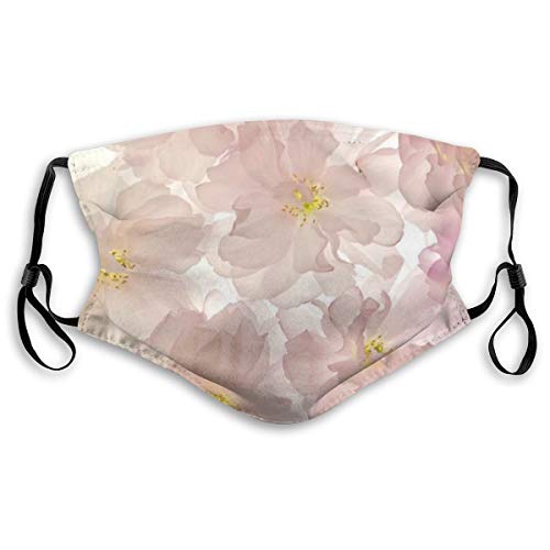 Wind Cloth Printing Reusable Face Nose Mouth Cover with Adjustable Earloops Dust Mouth