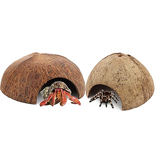 DQITJ 2 Pack Spider Coconut Shell Shelter, Hermit...