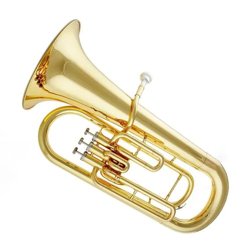 Bb CG[uX S[hbJ[{fB 3sXgou [tHjA Ǌy [P[Xt SҌ[tHjA