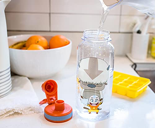 Silver Buffalo Avatar Chibi Aang & Appa Twist Spout Water Bottle And Sticker Set | 32 Ounces - 2