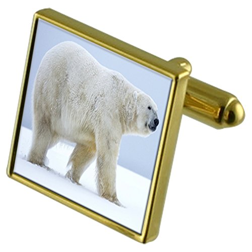 Gemelos oso polar dorados para camisas de boda y eventos de gala