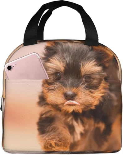 [NV[EeA̎q ۗ⃉`obO ٓ 킢 e ܂ y RpNg fMA~V[g |Pbgt g[gobN