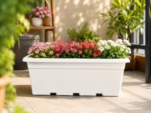 Image of Bonkaso 20 Inch Rectangular Planter, Set of 2 | UV Resistant Plastic Flower Pot for Balcony Railing, Window Sill & Terrace Garden | Rectangular Indoor & Outdoor Plant Pot,White