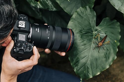 Canon RF 100mm f2.8 Macro IS USM - vue 10