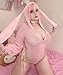 KORURACLUB Cosplay Sexy Bunny Outfit Cosplay lingerie for women Animal Costumes Bunny Bodysuit (Pink, L-XL)