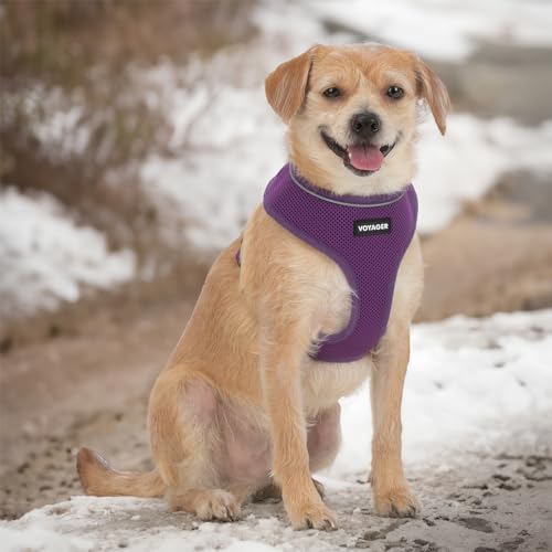 Image of Best Pet Supplies Voyager Aerolite Over the Head Dog Harness, No Pull Breathable Air Mesh Vest, Quick Dry with Reflective Stitching, Adjustable Escape Resistant Harness - Purple, Medium