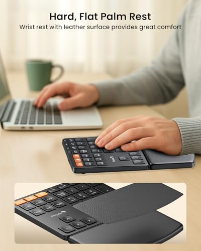 View 3