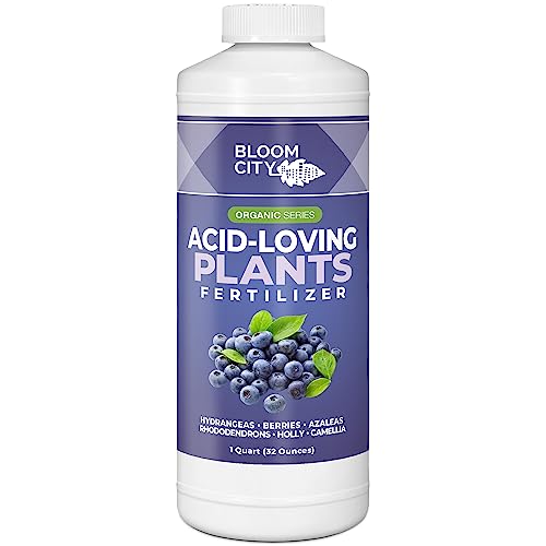 Bloom City's Acid-Loving Plant Fertilizer, Soil Acidifier for All Acid Loving Plants, Quart (32 oz)