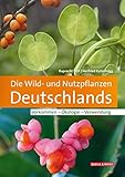 Die Wild- und Nutzpflanzen Deutschlands: Vorkommen – Ökologie – Verwendung - Ruprecht Düll, Herfried Kutzelnigg 