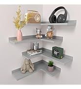 Amazon.com: 4 Tier Fire Escape Wall Shelf - Modern City Style Fire