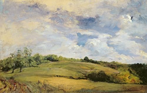 Toile Paysage et nuages Louis Riesener 60x90cm pour habiller un mur vide de salon sans âme