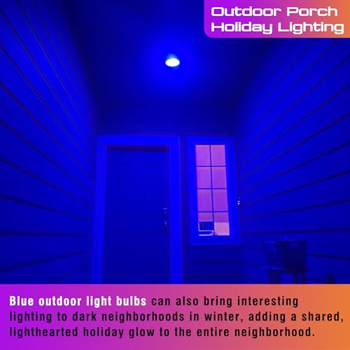Image of Blue Light Bulb, A15 Blue Christmas Lighting Bulb, 3W 300lm,2 Pack | 25w-40w Equivalent,Blue Colored ED Bulb for Halloween, Party, Holiday Lighting, Home Decoration, Outdoor Porch, Non-Dimmable