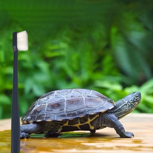 Image of Turtle Shell Cleaning Brush - Remove Muds, Dirt, Contaminants from Tortoises /Shells /Promoting Shell Health - Dense Soft Fine Hair Brush, No Harm to Turtle