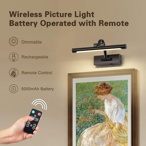 DESOOP Luzes de imagem operadas por bateria para parede preta luz de arte sem fio luzes de galeria c