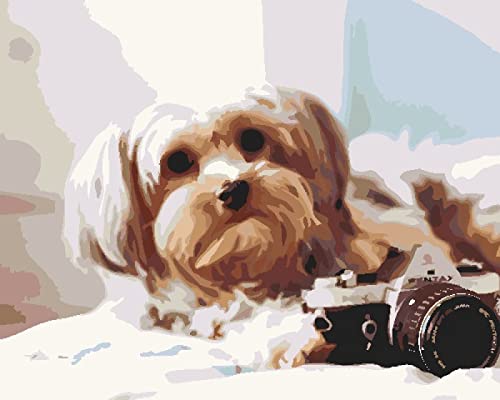 Kit broderie point de croix chien et appareil photo 40x50cm pour loisir créatif
