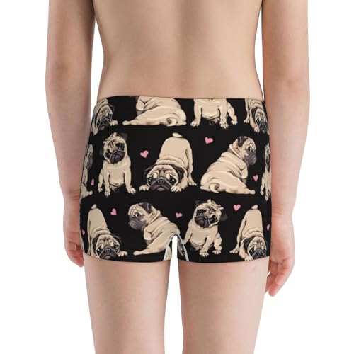 Boys' Cotton Boxer Brief Soft Underwear-French Bulldog3